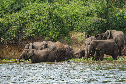 Ouganda : 19 jours de visite de la faune, des paysages et de la cultureCircuit de luxe de 19 jours pour découvrir la faune, les paysages et les cultures de l&#039;Ouganda