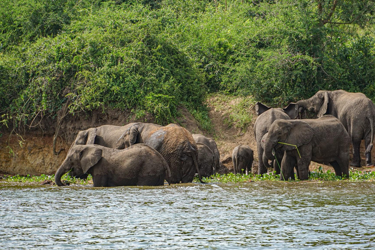 Ouganda : 19 jours de visite de la faune, des paysages et de la cultureCircuit de luxe de 19 jours pour découvrir la faune, les paysages et les cultures de l&#039;Ouganda