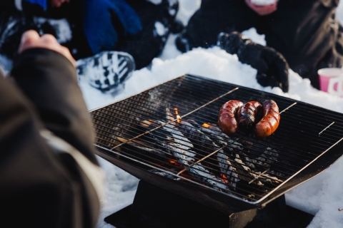 Rovaniemi: poolcirkel ijsvissen met barbecue