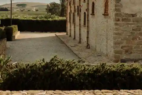 Vineyard Walk and Tasting