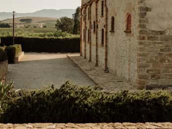 Promenade dans les vignobles et dégustation