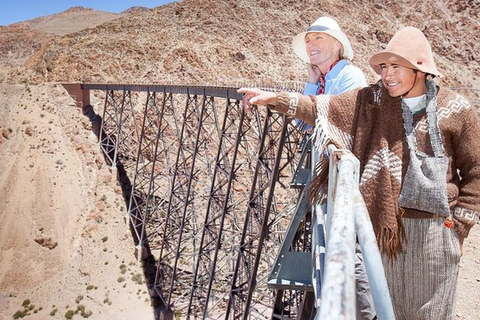 Salta: Safari to the Clouds & Salinas Grandes by 4x4