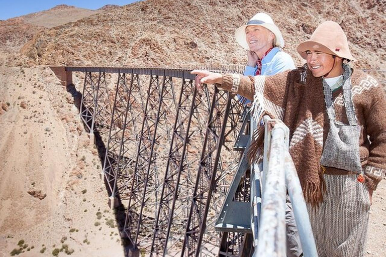 Salta: Safari to the Clouds & Salinas Grandes by 4x4