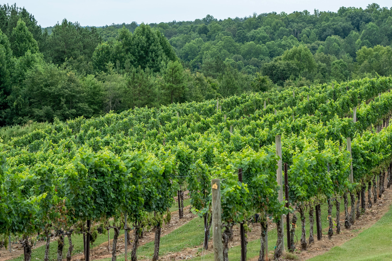 From Durres: Farmland, Vineyard &amp; Wine Tasting Tour