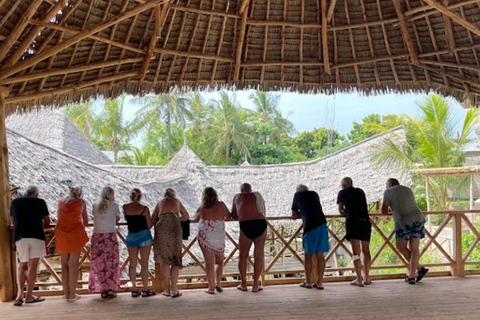 Nungwi: Swimming with Turtles at The Lagoons Zanzibar Hotel Transfers within Nungwi and Kendwa