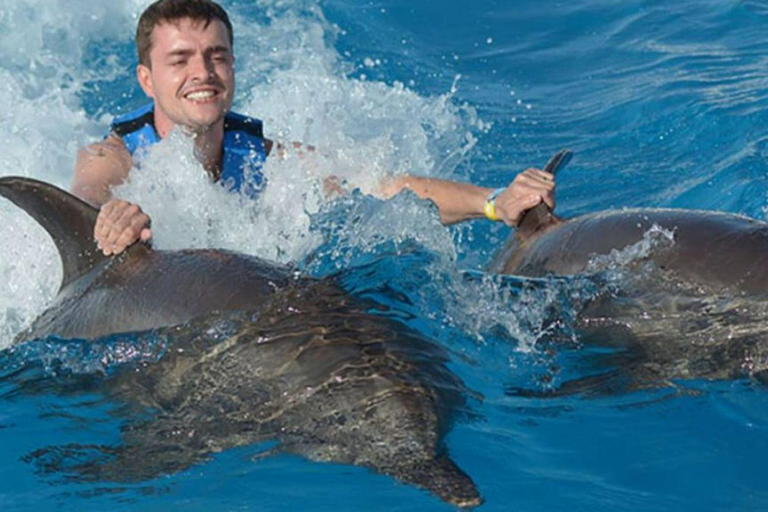 Punta Cana: Swimming with Dolphins.Dolphin Swim Adventure in Punta Cana with Transportation