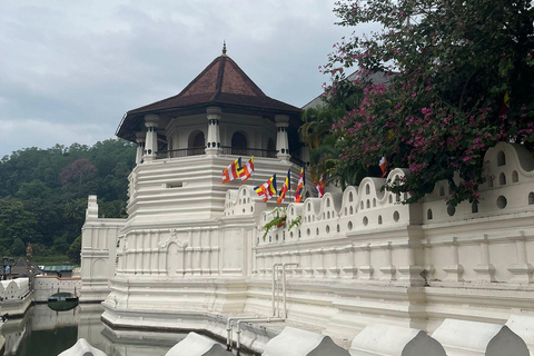 The Best Kandy Tuk-Tuk city Tour with a Professional Guide