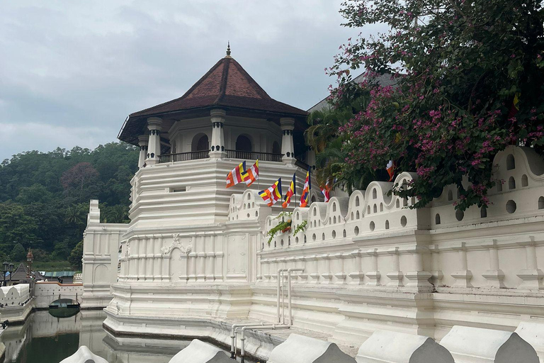 The Best Kandy Tuk-Tuk city Tour with a Professional Guide