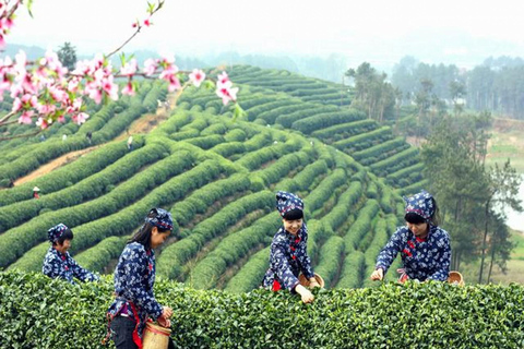 Hangzhou Privat dagsutflykt från Shanghai med Bullet Train