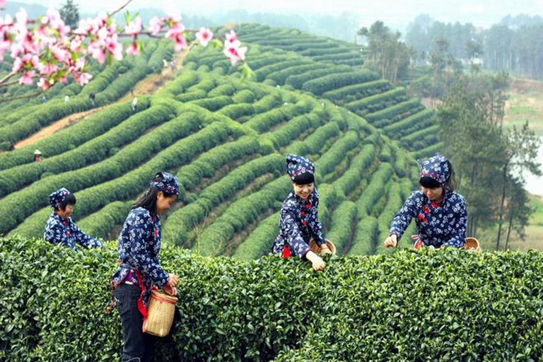 Een dagtrip naar Hangzhou vanuit Shanghai met de kogeltrein