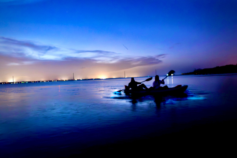 Merritt Island: Small-Group Clear Kayak Bioluminescence Tour