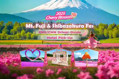 Tokyo Cherry Blossom: Mt Fuji & Shibazakura Festival DayTrip