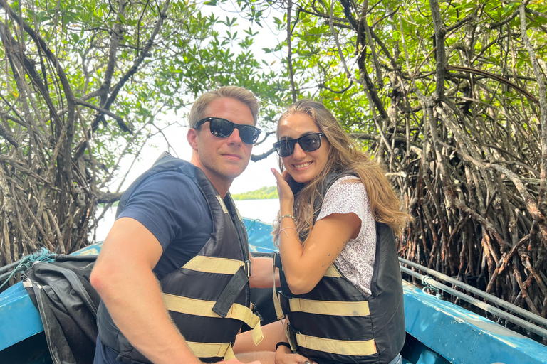 Sri Lanka: 10-Day Private Tour with Driver