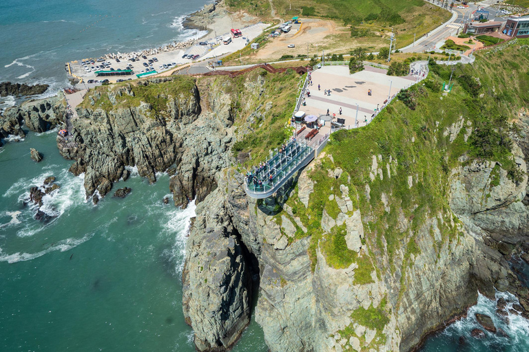 Busan: City Highlights & Street Food Tour Cruise Port Pickup Shared Tour, Meet at Busan North Port Cruise Terminal