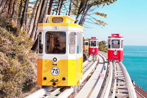 Max Out Busan: Highlight Top Attractions One Day City TourShared Tour - Meet at Haeundae Station