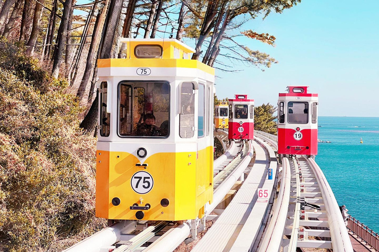 Max Out Busan: Hoogtepunten van de topattracties Eendaagse stadstourGedeelde Tour - Bijeenkomst op Haeundae Station