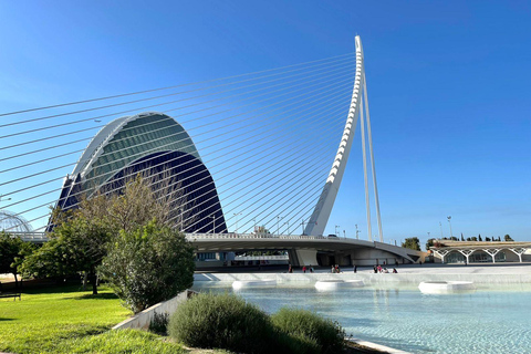 La Cité des Arts et des Sciences de Valence