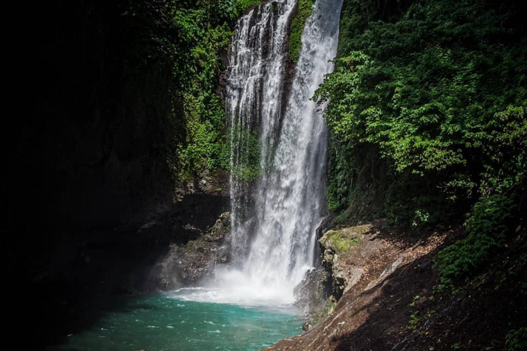 Munduk/Lovina: Wasserfall, Schnorcheln & DelfinbeobachtungstourStandard Tour mit Hoteltransfer von Munduk/Lovina