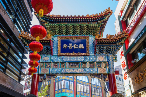 Tokyo Private & Customizable Tour with English Driver Guide