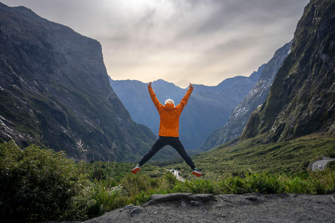 From Te Anau: Milford Sound Cruise & Key Summit Hike