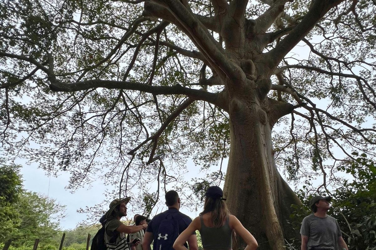 Palomino: Guided Birdwatching Tour with Hotel Pickup
