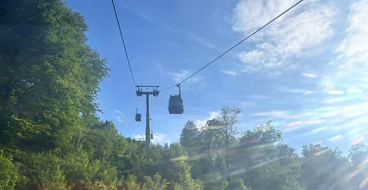 Baku-Gabala-Shamakhi-Tufandag -Nohur lake - Lavender fields photo 5