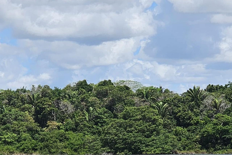 圣佩德罗：拉马奈玛雅神庙和河流导览游圣佩德罗：拉马奈玛雅寺庙和河流导览游