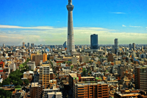 Tokyo : Visite d&#039;une jounée privée de la ville de Tokyo : lieux incontournables