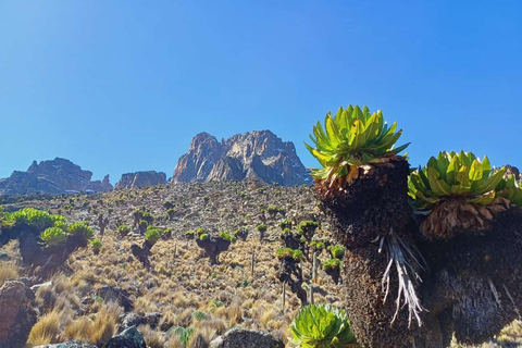 From Nairobi: Mount Kenya 4-Day Trekking Experience