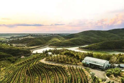 From Durres: Wine Tasting in Duka Winery