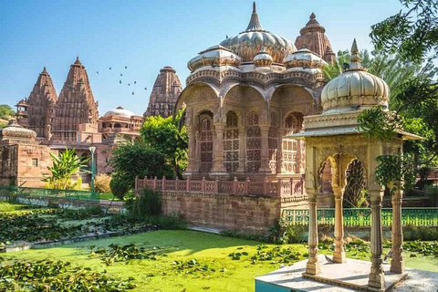 Excursão de 1 dia ao património de Jodhpur