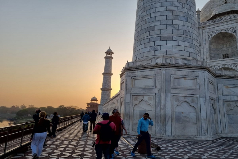 Au départ de Delhi : visite guidée d'une journée du Fort et du Taj Mahal