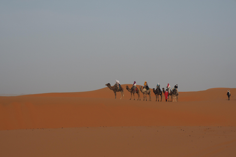 Passeio de 5 dias no deserto do Marrocos, de Marrakech a AgadirAcampamento de luxo