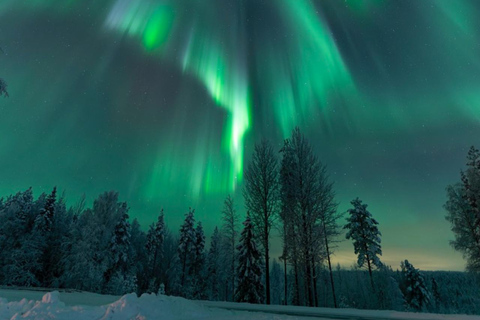 Rovaniemi: Northern Lights Tour - Aurora Viewing Guaranteed