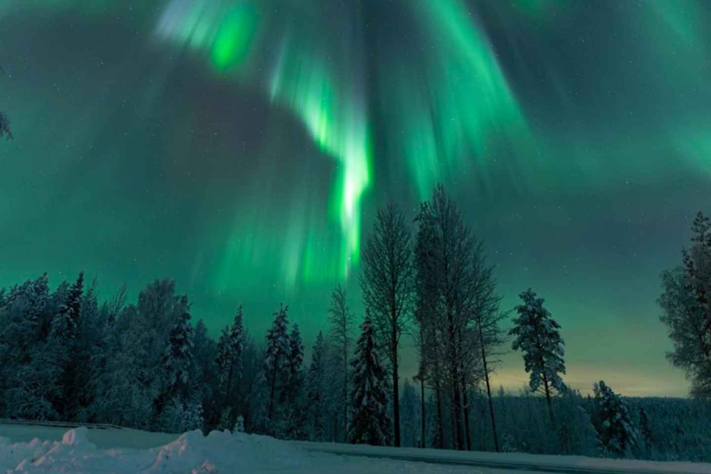 Rovaniemi: Northern Lights Tour - Aurora Viewing Guaranteed