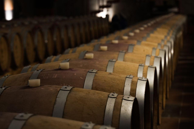 Yerevan: Lake Sevan Gourmet Day Trip with Tastings and Lunch