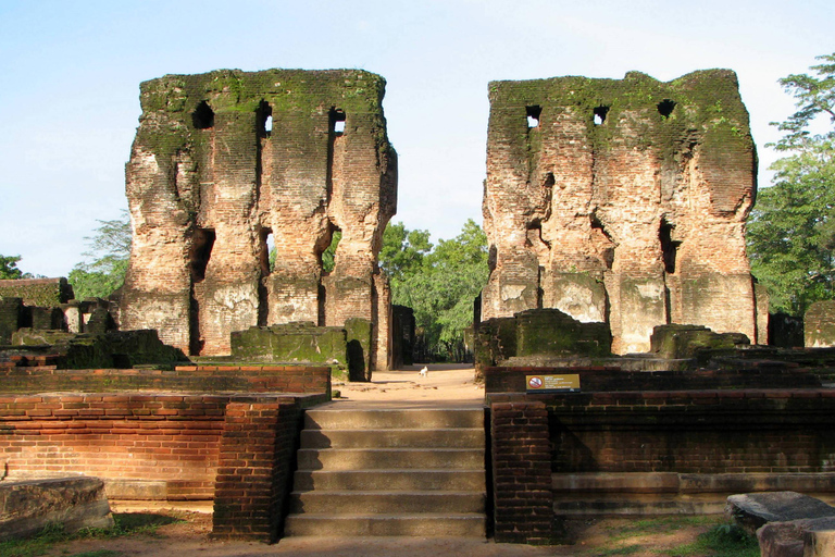 Dambulla et Polonnaruwa : Circuit tout compris au départ de Negombo