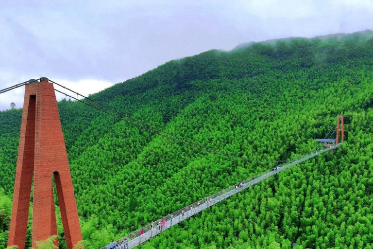 Shanghai: Crouching Tiger Bamboo Forest & White Tea Trip