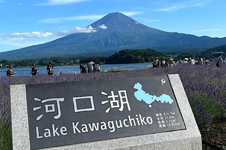 2-Daagse privé Tour Tokyo MT Fuji en Hakone met gids