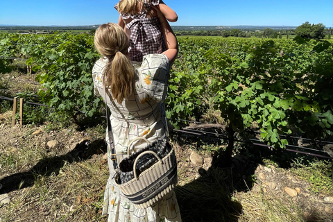 Gigondas & Châteauneuf-du-Pape: exceptional wine & terroir tasting
