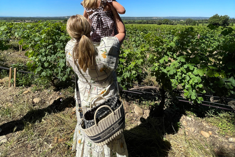 Gigondas & Châteauneuf-du-Pape: exceptional wine & terroir tasting