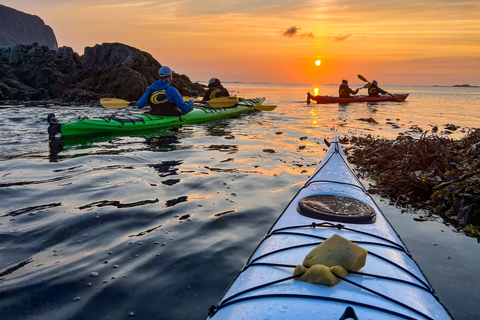 إيجوم: جولة جزر لوفوتن منتصف الليل صن كاياك