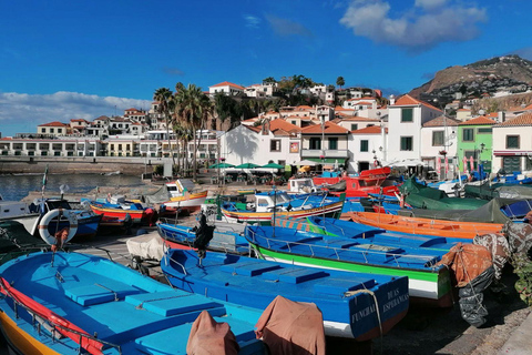 Porto Moniz Tour: Full-Day Madeira