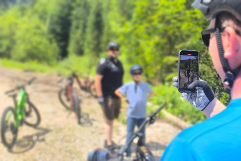 Salzkammergut: Guidad elcykeltur till de alpina betesmarkerna i Gosau och Hallstatt