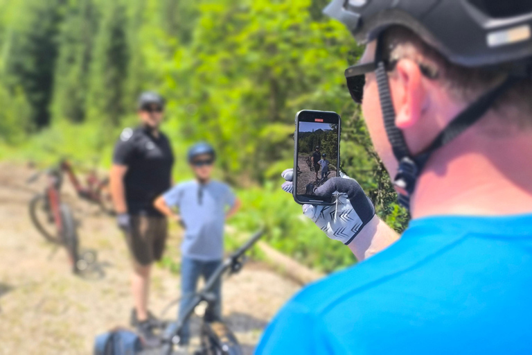 Salzkammergut: Guidad elcykeltur till de alpina betesmarkerna i Gosau och Hallstatt