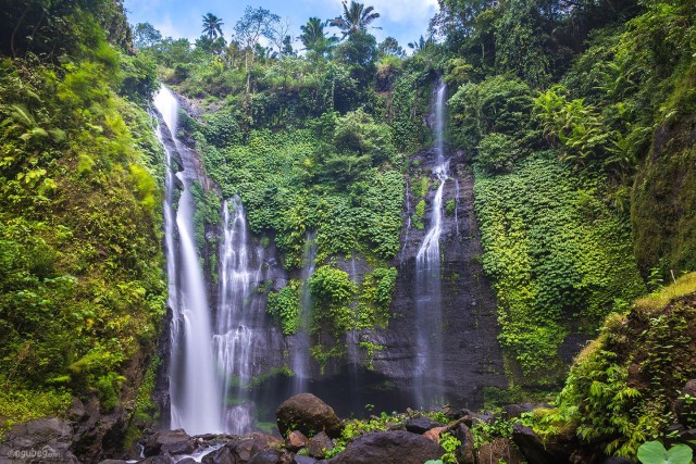 Visit Munduk Banyu Wana and Sekumpul Waterfall Trekking Tour in Munduk