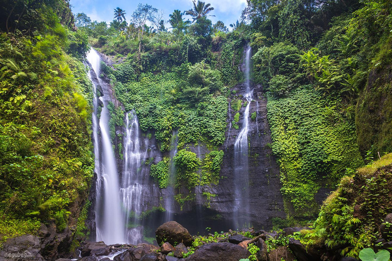 Munduk: Banyu Wana & Sekumpul-watervaltrekking met lunchTour met ophalen vanuit Munduk Area