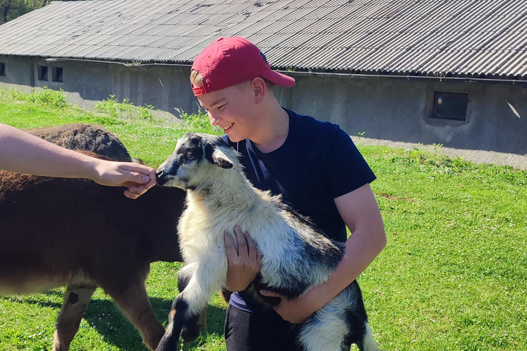 Rural biking & wine tasting tour