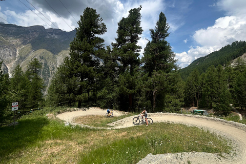 Zermatt: Sunnegga Flow Trail Guided Mountain Bike Tour