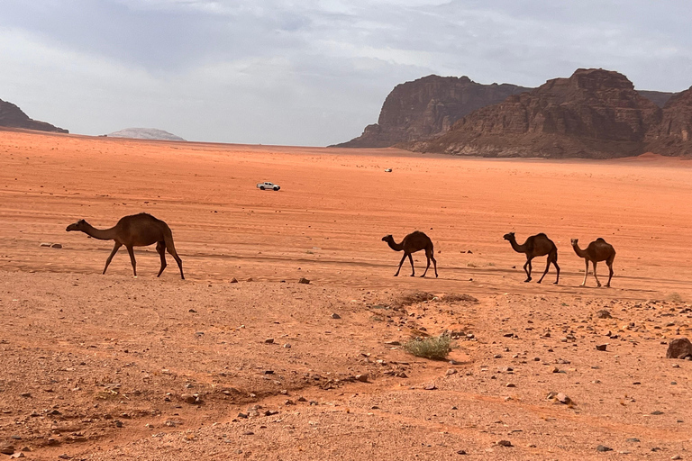 excursión de medio día en jeep &estancia de una noche & todas las comidas